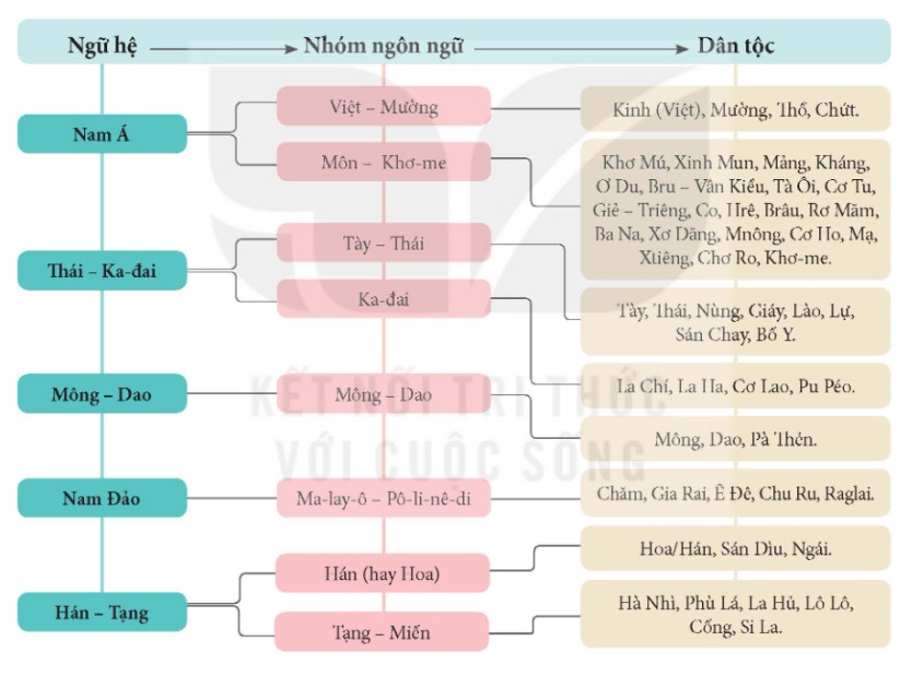 Sơ đồ thành phần dân tộc theo ngữ hệ ở Việt Nam