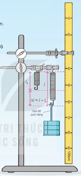 Thí nghiệm về mối liên hệ giữa độ dãn của lò xo và khối lượng vật treo