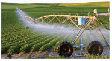 Tưới nước tự động trong sản xuất nông nghiệp ở I-xra-en