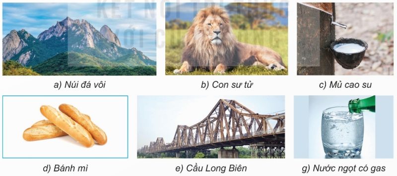 Vật thể và chất quanh ta