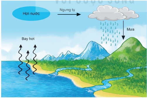 Vòng tuần hoàn của nước trong tự nhiên