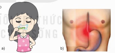 Ý nghĩa quá trình sinh sản của tế bào