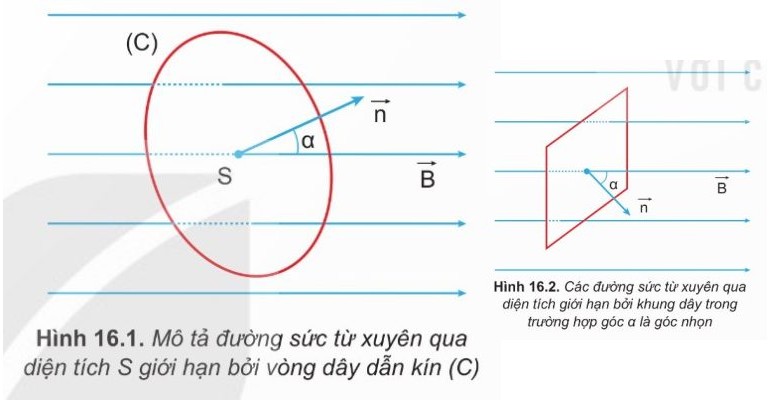 Vòng dây, vectơ B và pháp tuyến n