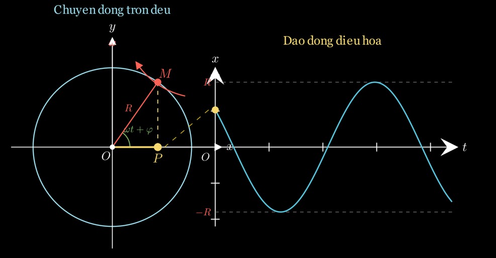 Hình chiếu của một điểm chuyển động tròn đều lên đường kính là dao động điều hòa