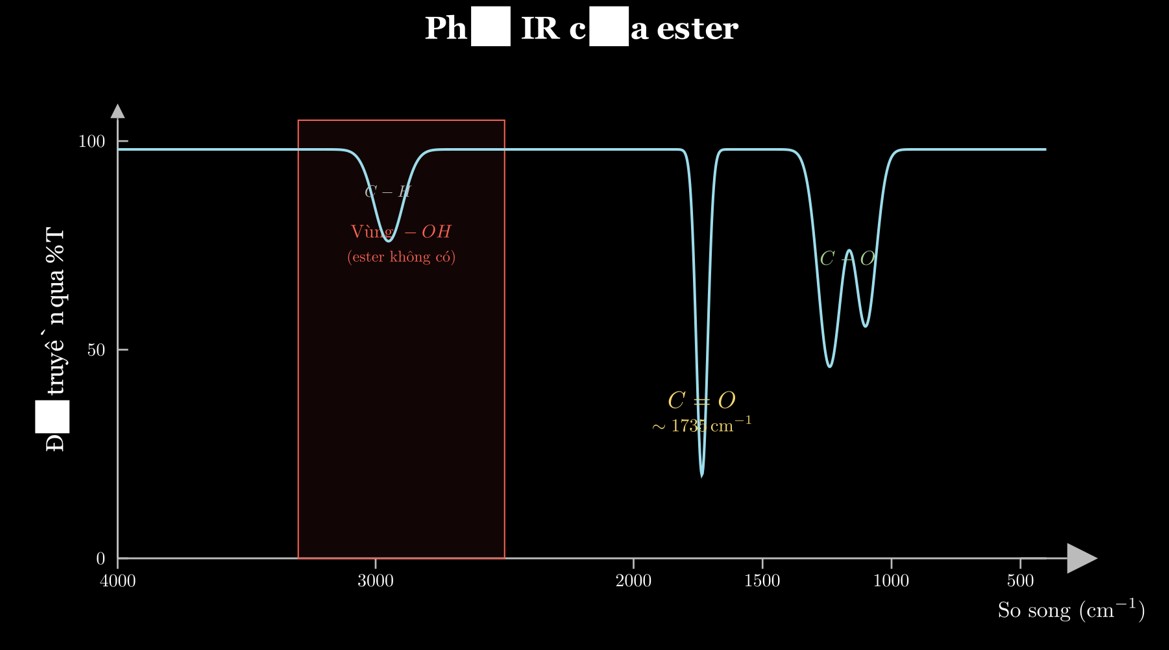 Phổ IR của ester