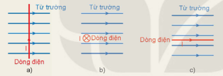 Dây dẫn mang dòng điện đặt trong từ trường