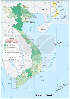 Bản đồ lâm nghiệp Việt Nam năm 2024
