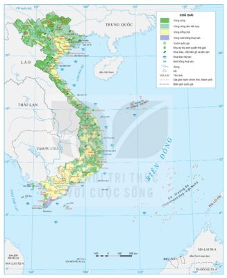 Bản đồ phân bố ngành lâm nghiệp và thuỷ sản Việt Nam năm 2024