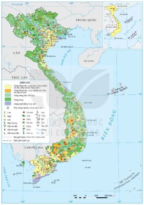 Bản đồ phân bố nông nghiệp Việt Nam năm 2024