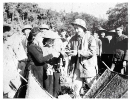 Chủ tịch Hồ Chí Minh thăm nông dân Bắc Kạn (nay thuộc tỉnh Thái Nguyên) thu hoạch lúa mùa (1950)