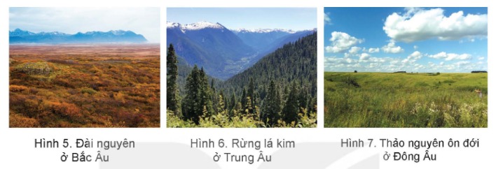 Đài nguyên ở Bắc Âu