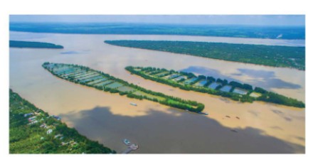 Đoạn sông Hậu chảy qua thành phố Cần Thơ