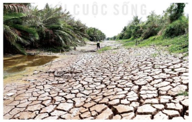 Kênh bị cạn nước vào mùa khô ở Đồng Tháp
