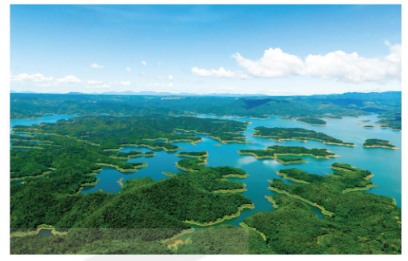 Một phần hồ Tà Đùng (Lâm Đồng)