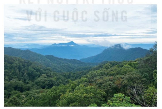 Một phần Vườn quốc gia Bạch Mã thuộc thành phố Huế
