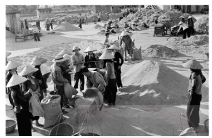 Một sân kho của hợp tác xã ở nông thôn miền Bắc (1970)