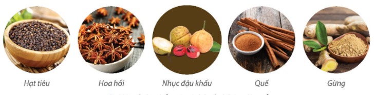 Một số sản phẩm gia vị chủ yếu ở Đông Nam Á – hạt tiêu, hoa hồi, nhục đậu khấu, quế, gừng