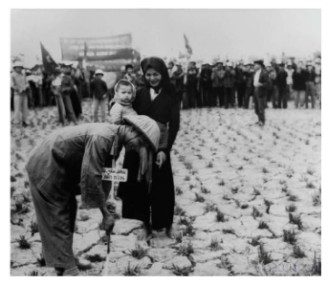 Nông dân được chia ruộng trong cải cách ruộng đất (1955)