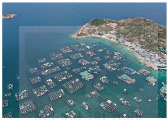 Nuôi trồng hải sản ở vịnh Cam Ranh (Khánh Hoà)