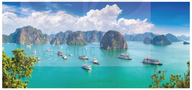 Vịnh Hạ Long là điểm du lịch biển, đảo nổi tiếng của nước ta
