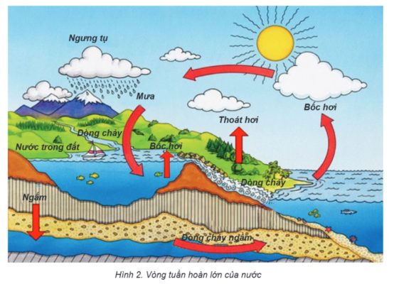Hình 2 – Vòng tuần hoàn lớn của nước