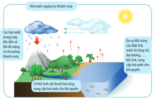 Hình 5 – Quá trình hình thành mây và mưa.