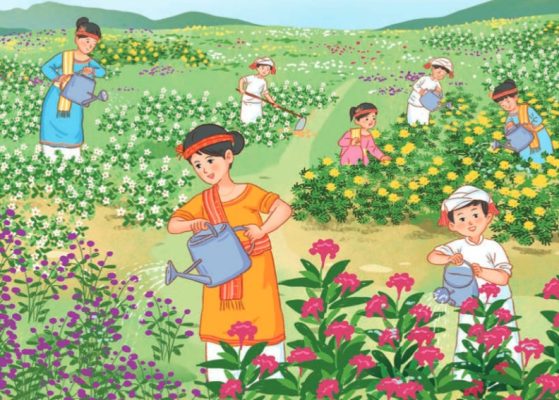 Cánh đồng hoa