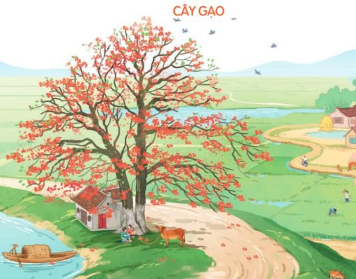 Bài 6: Cây gạo