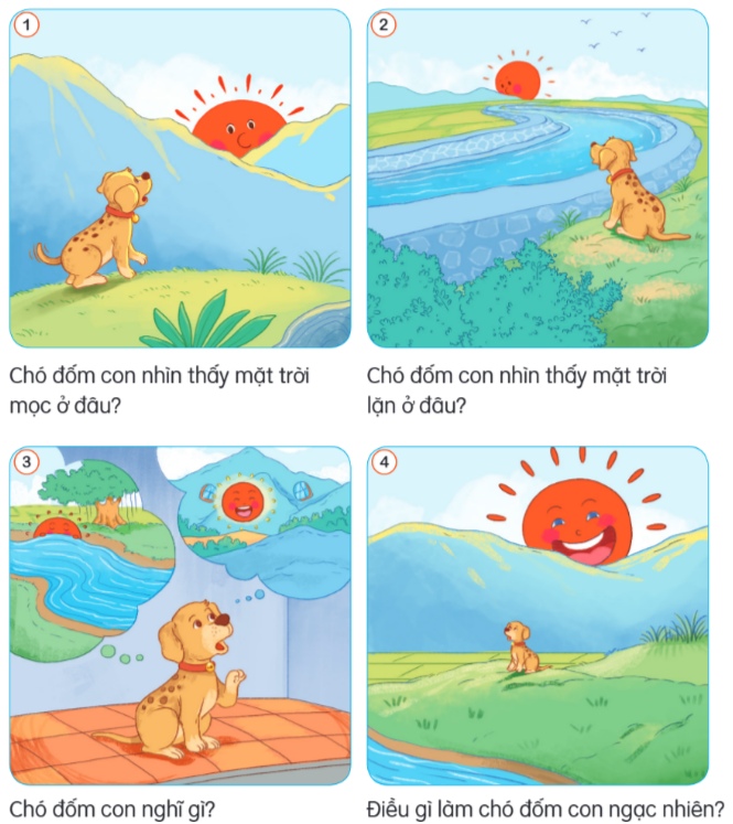 Chó đốm con và mặt trời