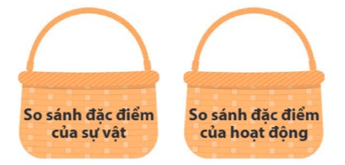 Bài 16: Ngựa biên phòng