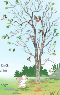Bài 10: Quả hồng của thỏ con