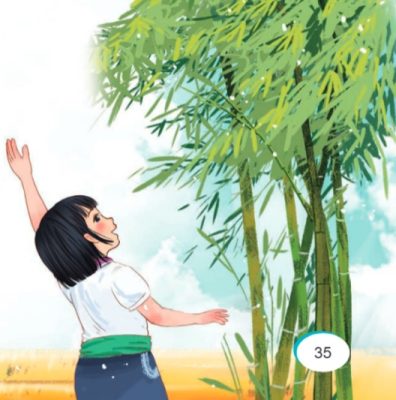 Bài 8: Trên khóm tre đầu ngõ