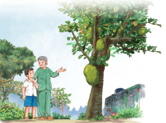 Bài 13: Vườn của ông tôi