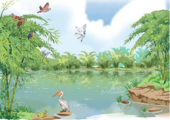 Bài 12: Đọc: Bờ tre đón khách