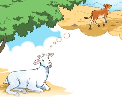 Bài 17: Đọc: Gọi bạn