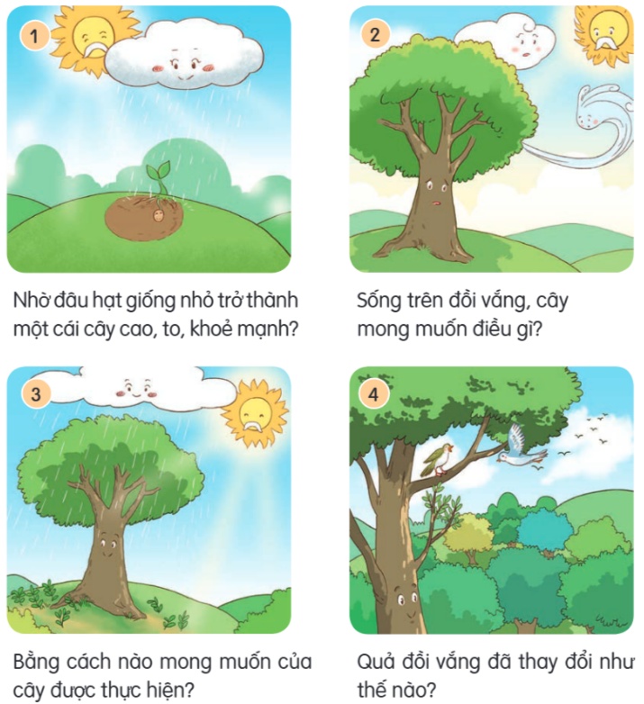 Hạt giống nhỏ