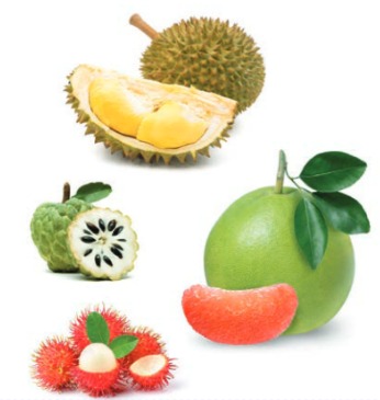 Bài 6: Đọc: Mùa vàng