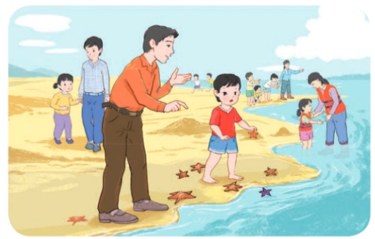 Bài 15: Đọc: Những con sao biển