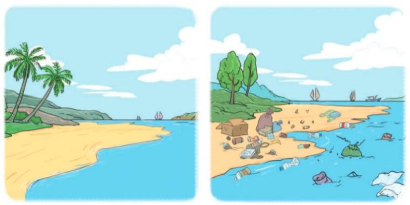Bài 15: Đọc: Những con sao biển