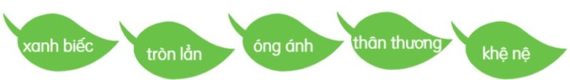 Bài 16: Đọc: Tạm biệt cánh cam